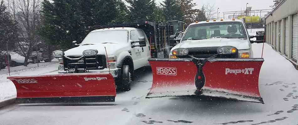 Why Your Business Needs Snow Removal Services