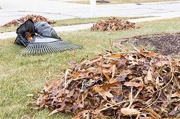 Leaves and debris collected during a yard cleanup in Bristow, VA.