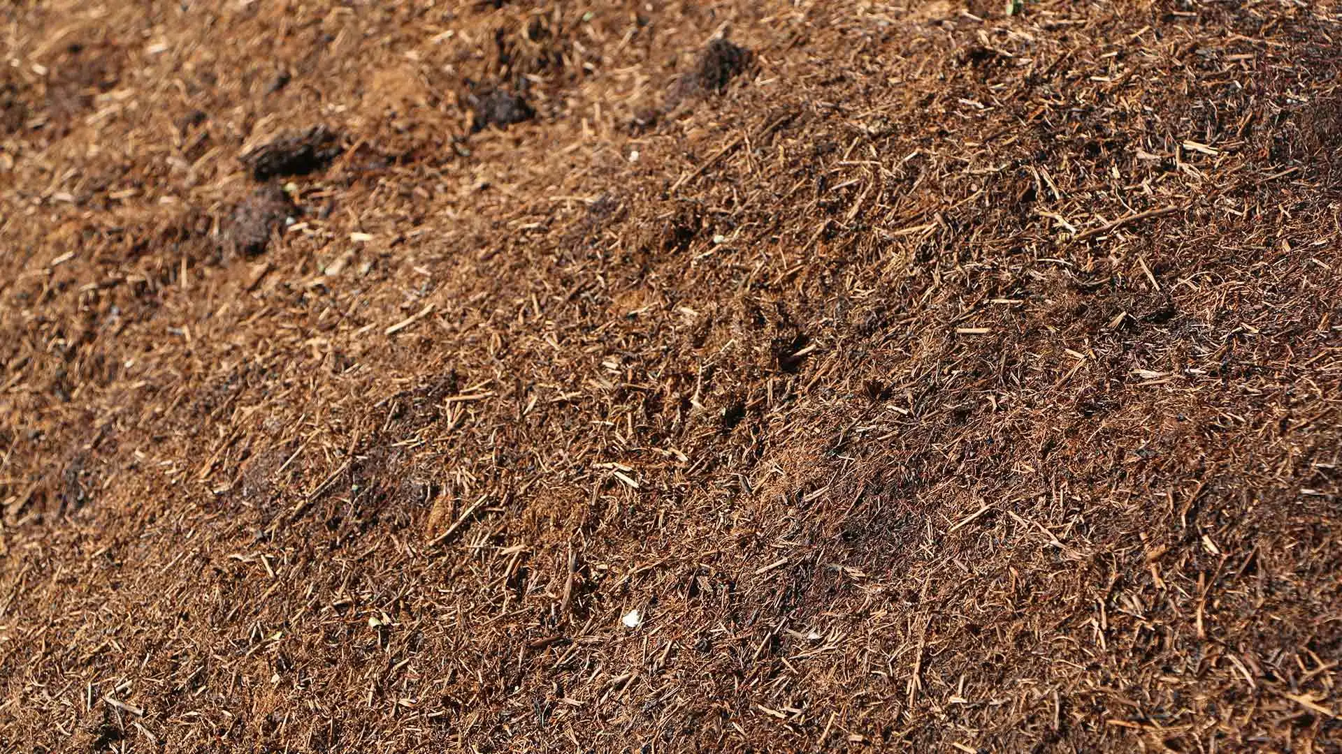Compost top dressing to be applied to a Bristow, VA property.