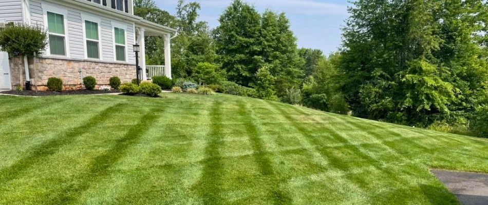 House in Bristow, VA, with neatly mowed grass.