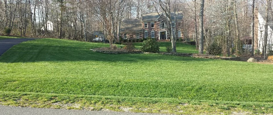 Large front yard in Bristow, VA, with green grass and trees.